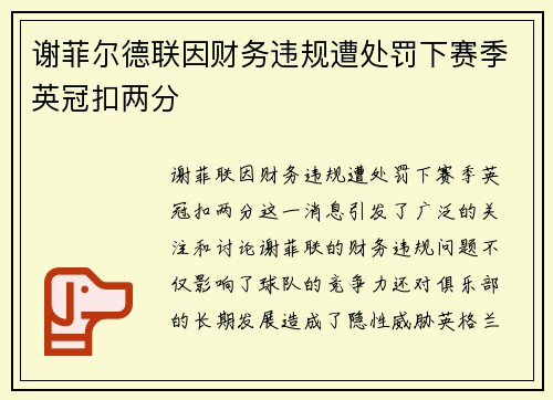 谢菲尔德联因财务违规遭处罚下赛季英冠扣两分